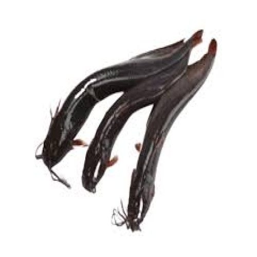 69a9d9c13e1ed.jpg Deshi Shing Fish 1 kg - Image 1